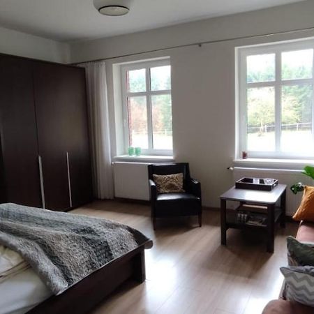 Zacisze Pod Bukami Apartment Gornica Ngoại thất bức ảnh
