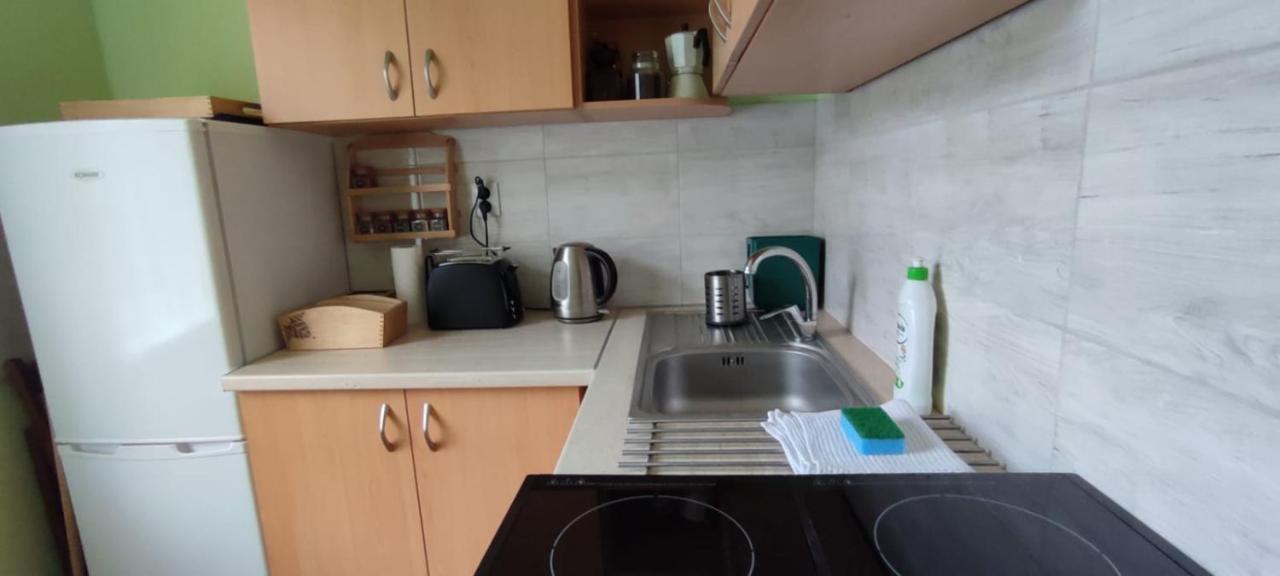 Zacisze Pod Bukami Apartment Gornica Ngoại thất bức ảnh